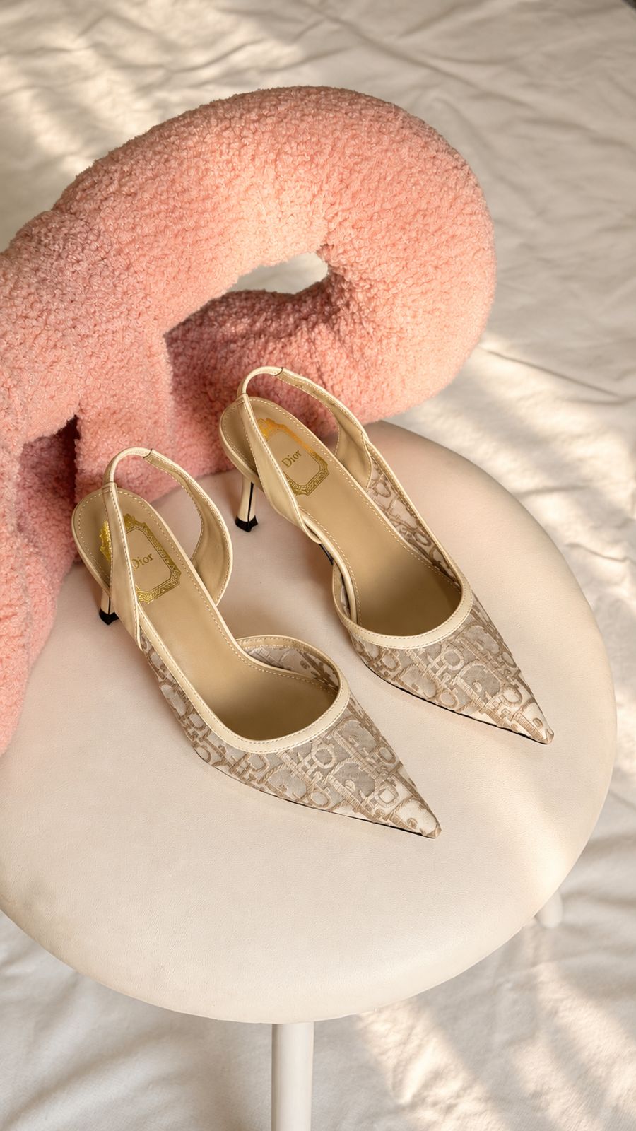 Dior Dway Slingback Pumps