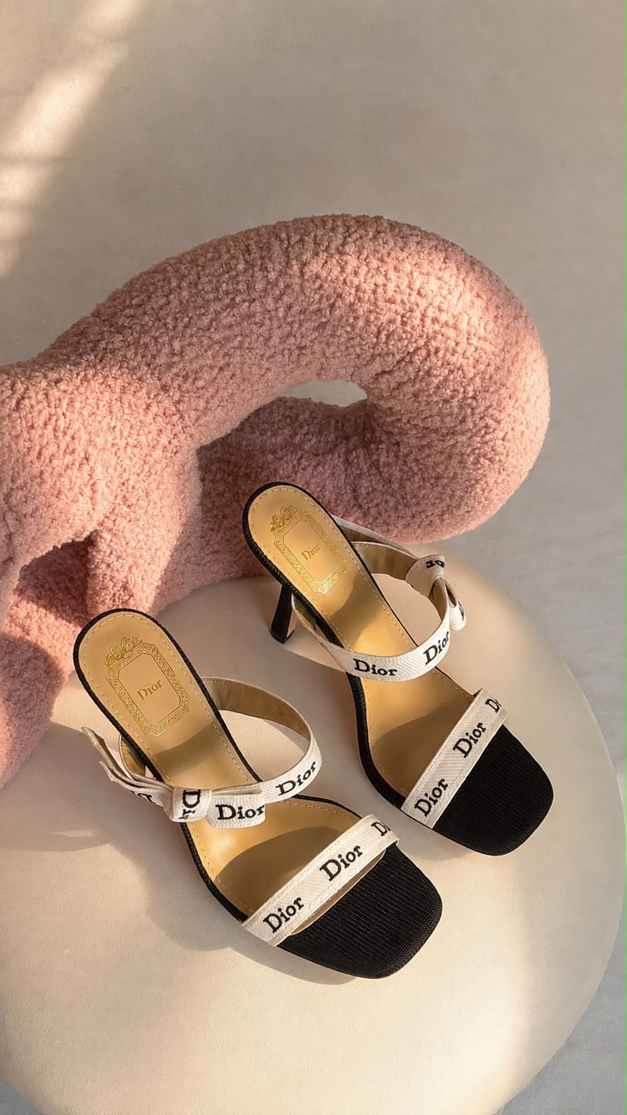Dior Dway Heeled Sandals